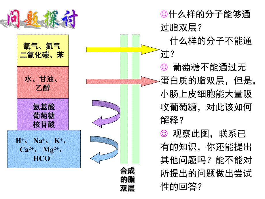 43物质跨膜运输的方式ok.ppt_第2页