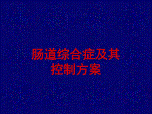 肠道综合症及解决方案.ppt