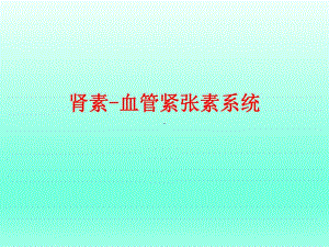 肾素血管紧张素系统ok.ppt