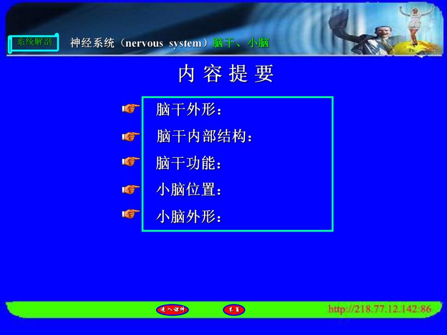 脑干小脑.ppt_第2页