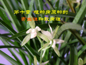 植物病原物的寄生性和致病性.ppt
