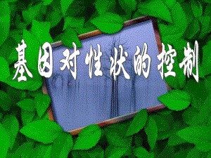 4.2基因对性状的控制课件晏迎.ppt