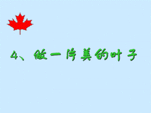 4、做一片美的叶子.ppt