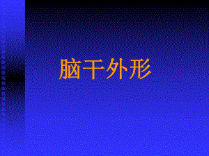 脑干小脑间脑和端脑.ppt