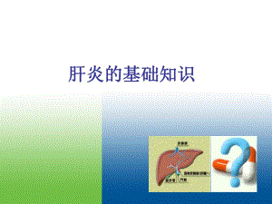 肝炎治疗的基础知识.ppt