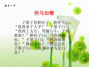 3把我的心脏带回祖国课件.ppt