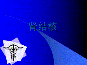 肾结核ppt课件.ppt