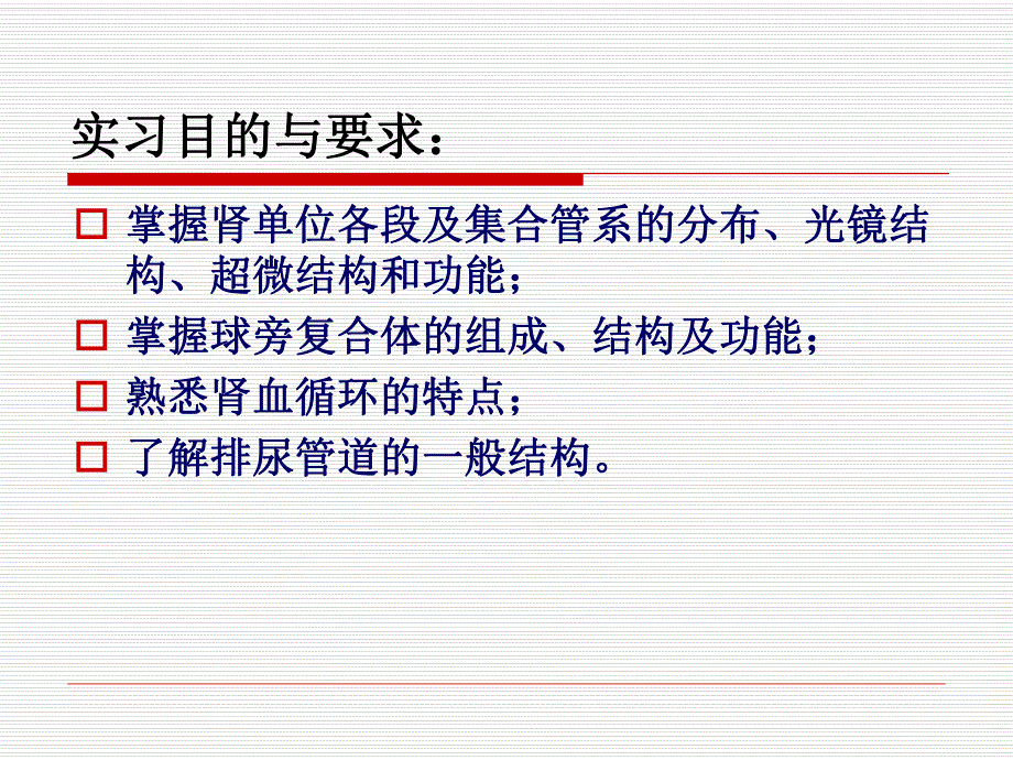 组织胚胎学泌尿系统.ppt_第2页