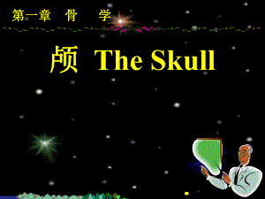 系统解剖学资料2系解之颅四肢骨.ppt