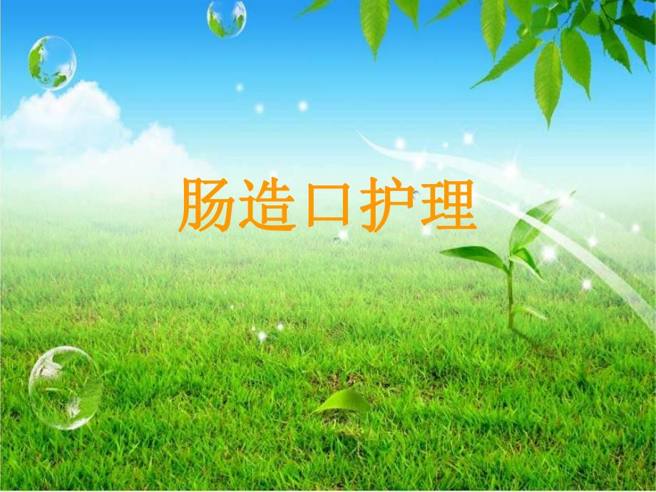 肠造口护理9wppt课件.ppt_第1页