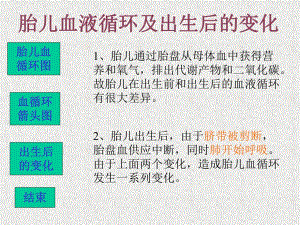 胎儿血流动态图.ppt