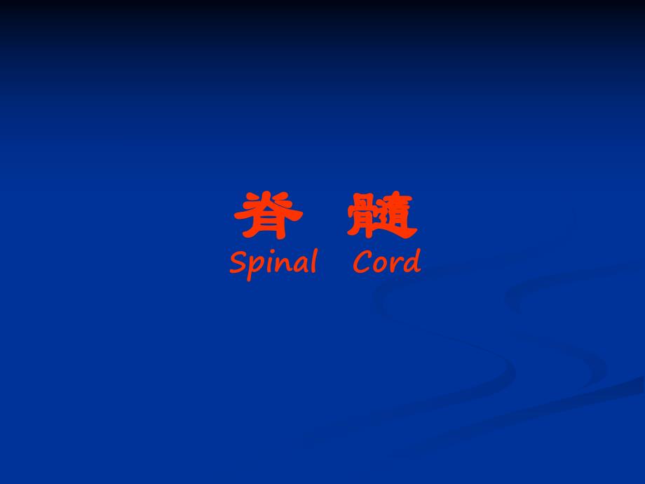 脊髓和脊神经.ppt_第1页