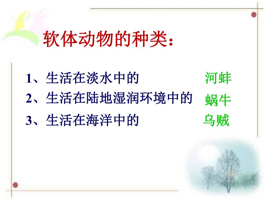 44第四节软体动物.ppt_第3页