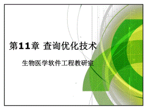 数据库原理与程序设计孙杰第11章查询优化技术.ppt