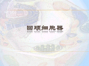 细胞核系统的控制中心聂昆.ppt