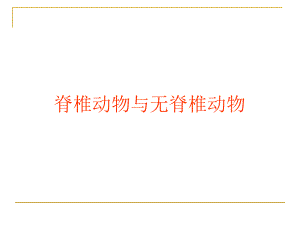 脊椎动物与无脊椎动物.ppt