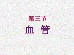 口解血管ppt课件.ppt