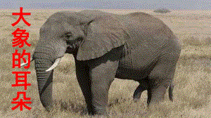 19.大象的耳朵公开课.ppt