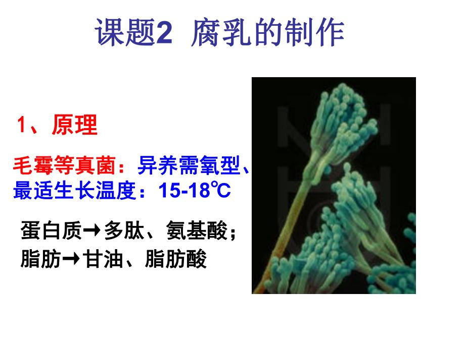 腐乳与泡菜的制作.ppt_第1页