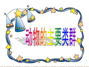 脊椎动物二.ppt