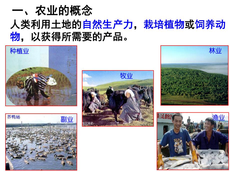 3.1农业的区位选择.ppt.ppt_第3页