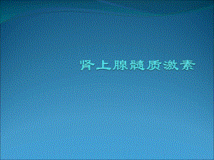 肾上腺髓质激素.ppt