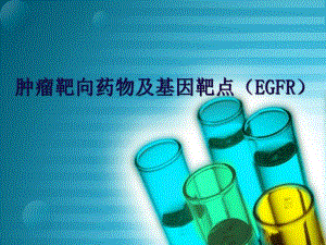 肿瘤靶向药物及基因靶点.ppt