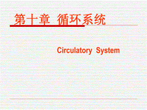 10循环系统z.ppt