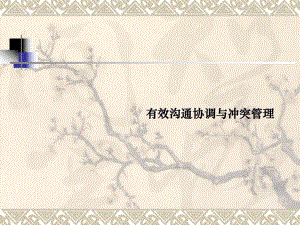 有效沟通协调与冲突管理.ppt