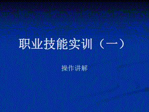 职业技能实训操作步骤.ppt