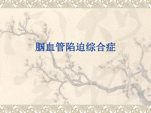 腘血管陷迫综合症.ppt