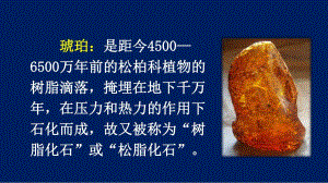 5琥珀课件.ppt