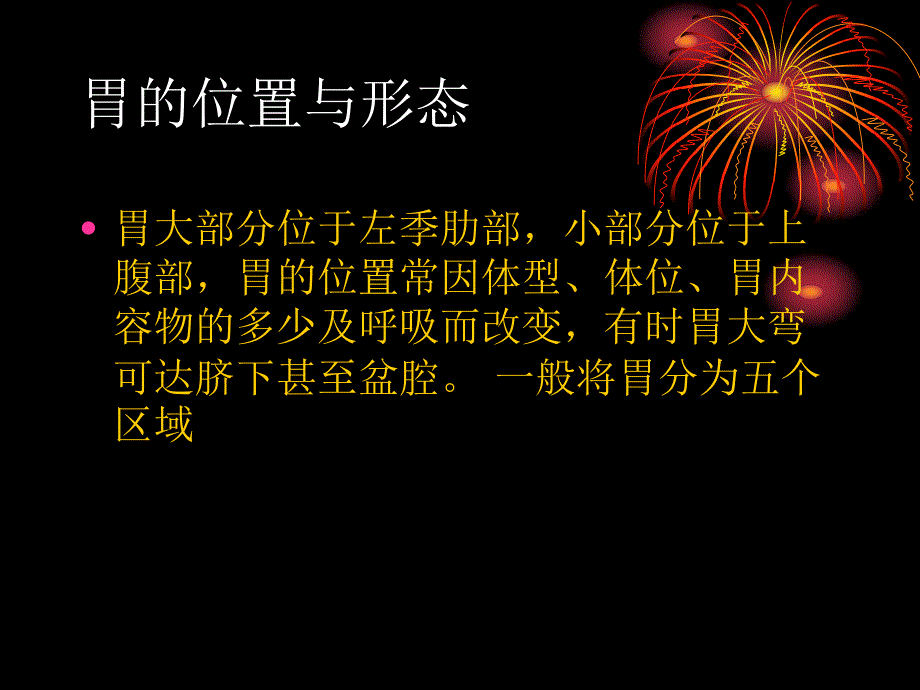 胃的解剖与生理.ppt_第2页