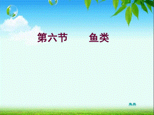 46第六节鱼类.ppt