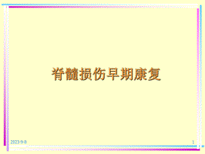 脊髓损伤康复.ppt