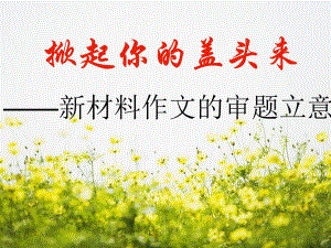 掀起你的盖头来.ppt