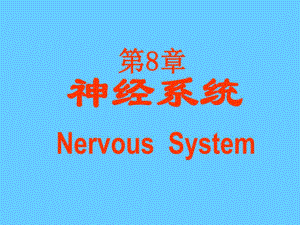脑神经系统神经系统.ppt