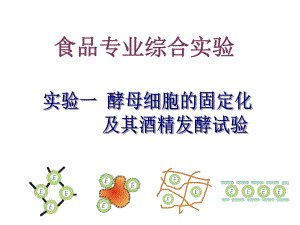 4.3酵母细胞的固定化课件古振宣.ppt