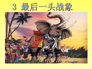 3.最后一头战象课件.ppt