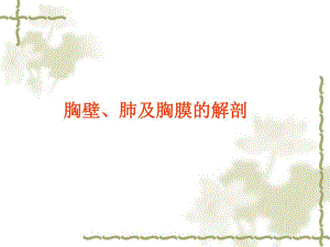 胸壁肺及胸膜的解剖人体解剖.ppt