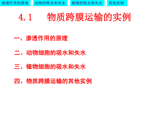 物质跨膜运输的实例优质课凤.ppt