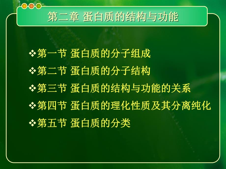 02蛋白质的结构与功能.ppt_第1页
