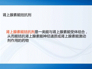 肾上腺素能受体.ppt