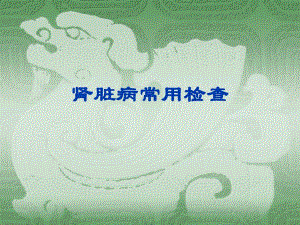 肾脏病常用检查.ppt