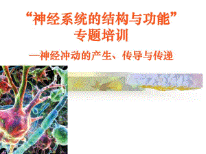 “神经系统的结构与功能”.ppt