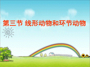 43第三节线形动物和环节动物.ppt