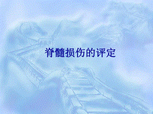 脊髓损伤的评定.ppt