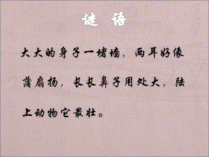 盲人摸象1.ppt
