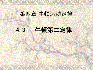 4.3牛顿第二定律.ppt