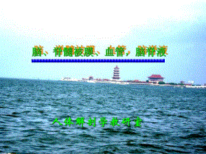 脑脊髓被膜血管脑脊液.ppt